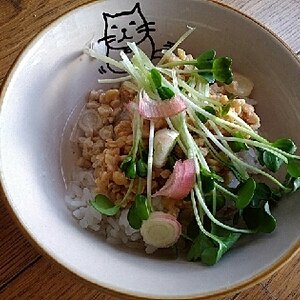 まな板なし５分！食べ易い❤納豆茶漬け♪（茶葉不要）